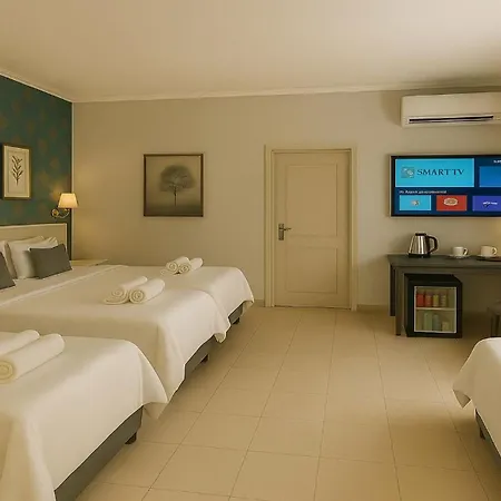 Hotel Safir & Center 3*